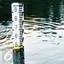 Banjir rob adalah banjir di tepi pantai karena permukaan air laut yang lebih tinggi daripada bibir pantai atau daratan di pesisir pantai.