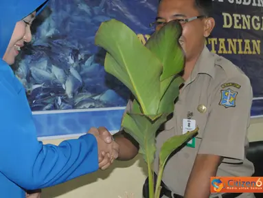 Citizen6, Surabaya: Selain penyerahan bibit tanaman dalam kegiatan tersebut juga dilaksanakan penyuluhan Pertanian dan Perikanan yang diikuti sedikitnya 125 prajurit, Pegawai Negeri Sipil dan anggota Jalasenastri Cabang 6 Pusdikbanmin. (Pengirim: Penkoban