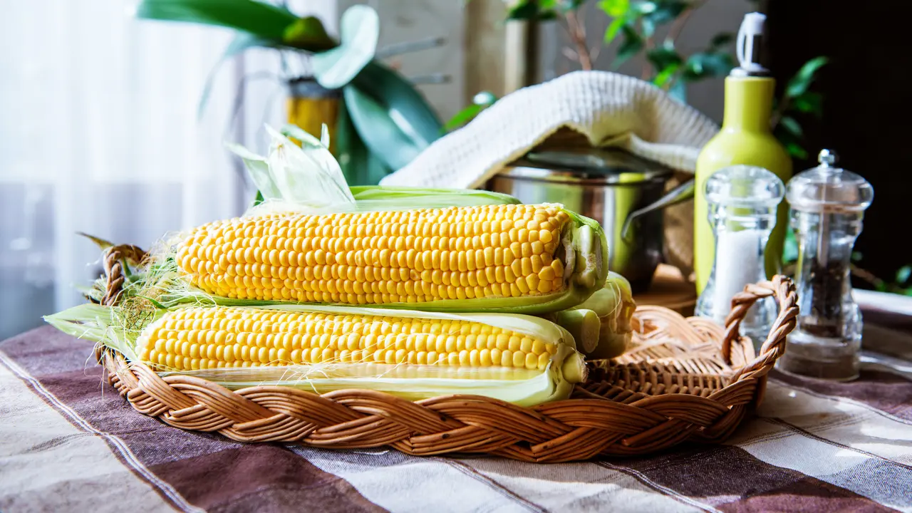 jagung muda