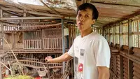 Resah Soal Darurat Sampah di Yogyakarta, Arsitek Ini Pilih Beternak untuk Kelola Limbah