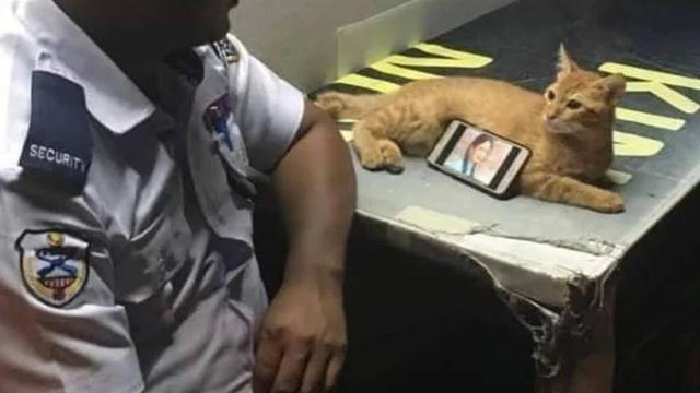 8 Aksi Nyeleneh Orang Enggak Punya Tripod saat Pakai Gadget Ini Kocak