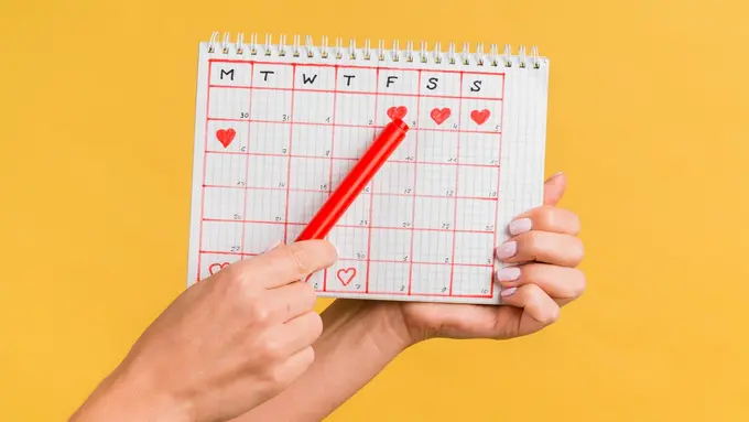 Ilustrasi siklus menstruasi