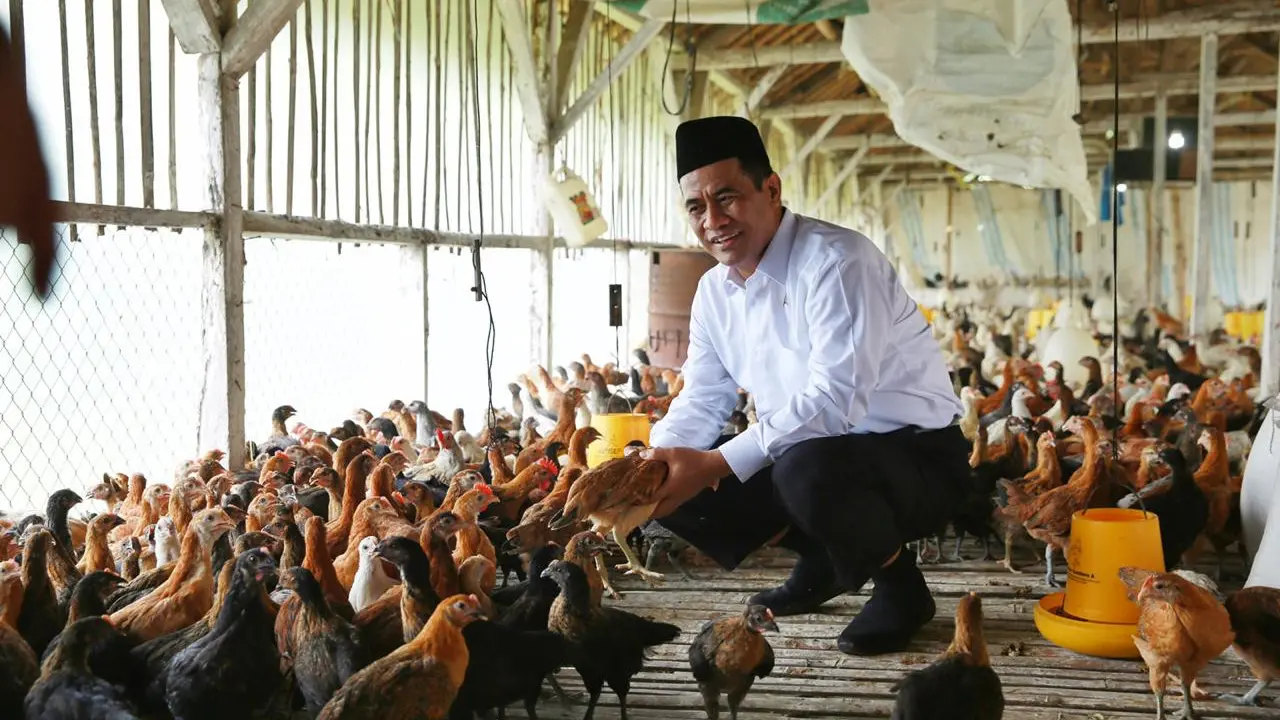 Amran Sulaiman