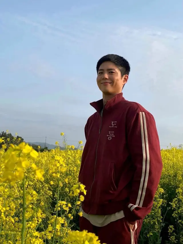 IU dan Park Bo Gum jadi artis paling popular. (credit:instagram.com/bogummy)