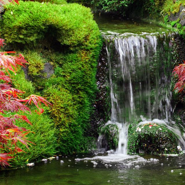 51 Desain Aquarium Air Terjun Gratis Terbaik