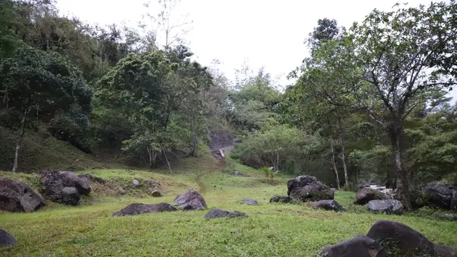 Deretan bebatuan berbagai ukuran di sepanjang sungai, kemudian tanaman pohon karet dan pohon hutan lainnya yang masih asri, bakal menjadi view pertama sambuatan bagi pengunjung saat memasuki area wisata sungai Cibentang.