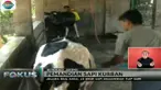 Pemandian sapi ini tiap harinya bisa didatangi 30 ekor hingga sekitar 60 ekor sapi. 