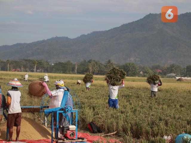 Pengertian Gotong Royong Tujuan Dan Nilai Nilainya Yang Harus Dipahami Hot Liputan6 Com
