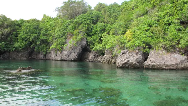 Bawean