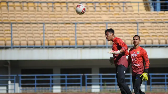 Teja Paku Alam, Persib Bandung