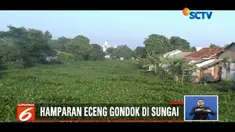 Ribuan eceng gondok penuhi Sungai Pisang Batu, Bekasi, sehingga menghambat aliran sungai dan menyebabkan banjir.