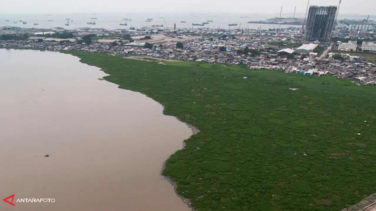 waduk-pluit-140120a.jpg