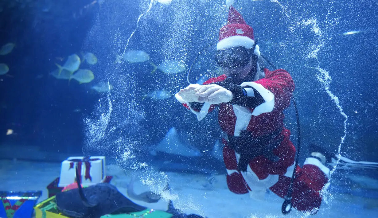 Seorang penyelam berpakaian Sinterklas tampil pada acara untuk mempromosikan liburan Natal di Coex Aquarium, Seoul, Korea Selatan, Jumat (3/12/2021). Natal adalah salah satu hari libur terbesar yang dirayakan di Korea Selatan. (AP Photo/Ahn Young-joon)