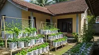 9 Ide Kebun Sayur Sederhana di Samping Rumah Pakai Karung Beras, Praktis dan Hemat Lahan