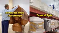 Viral Peti Mati Dijual dengan Harga Selangit, Ada yang Miliaran (Sumber: TikTok/@angiestee24)