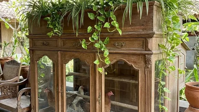 Kandang Ayam Kate Estetik di Teras