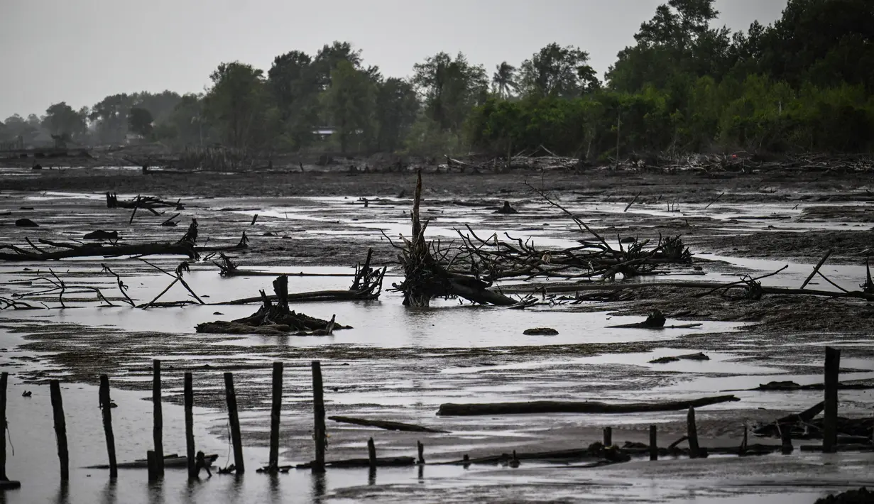 Weg naar Zee merupakan sebuah kawasan wisata kota di Paramaribo, Suriname, yang terletak di ujung barat laut kota dan berada di pesisir pantai Atlantik. (Juan BARRETO/AFP)
