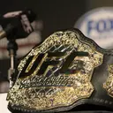 UFC 330 Hadirkan Islam Makhachev vs Ian Machado Garry, Tayang di Vidio