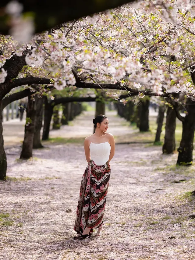 Artis Berburu Sakura ke Jepang