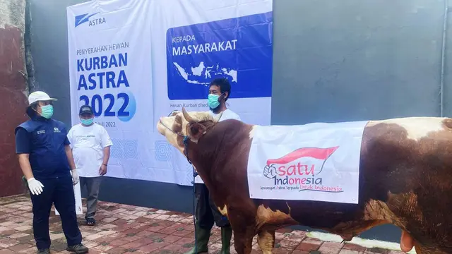 Penyerahan hewan kurban