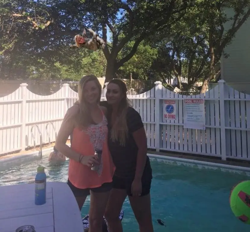 Turuuun! (Sumber foto: boredpanda.com)