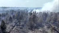 Cairan Pemadam Brasil Diuji di Kebakaran Hutan, Ini Hasil Awalnya