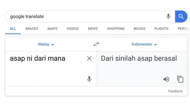 Terjemahan Kocak di Google Translate Ini Bikin Emosi