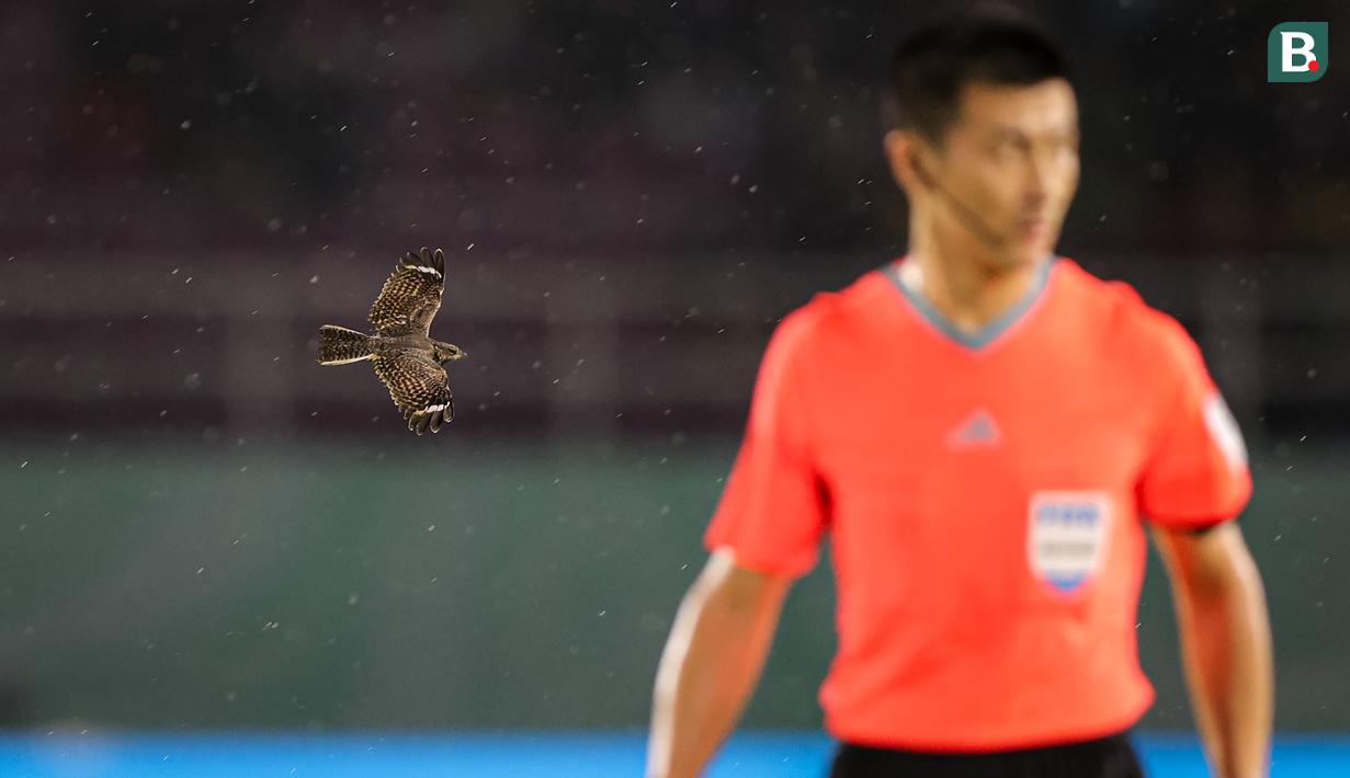 <p>Seekor burung terbang melintas di depan wasit asal China, Fu Ming saat tengah memimpin laga perebutan tempat ketiga Piala Dunia U-17 2023 antara Timnas Argentina U-17 menghadapi Mali di Stadion Manahan, Solo, Jumat (1/12/2023). (Bola.com/Bagaskara Lazuardi)</p>