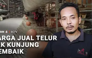 Harga Telur Tak Kunjung Membaik, Peternak Mengeluh
