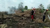 Penanganan kebakaran hutan dan lahan (karhutla) di Riau. (Liputan6.com/M Syukur)