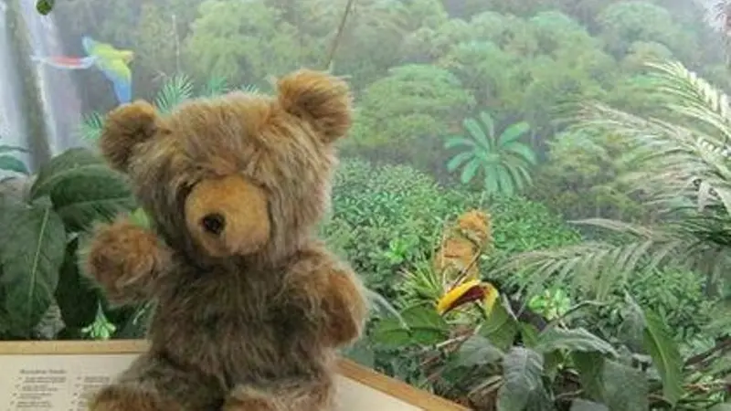 Perjalanan Boneka Beruang Mencari Si Pemilik