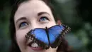 Entomologis, Anna Platoni tersenyum saat wajahnya dihinggapi kupu-kupu Blue Morpho saat pembukaan, "Butterflies in the Glasshouse", di RHS Wisley di Wisley, Inggris, (13/1). (AFP/Adrian Dennis)