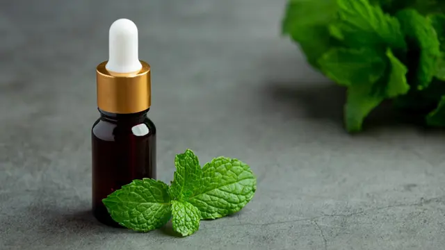 Minyak Esensial Peppermint