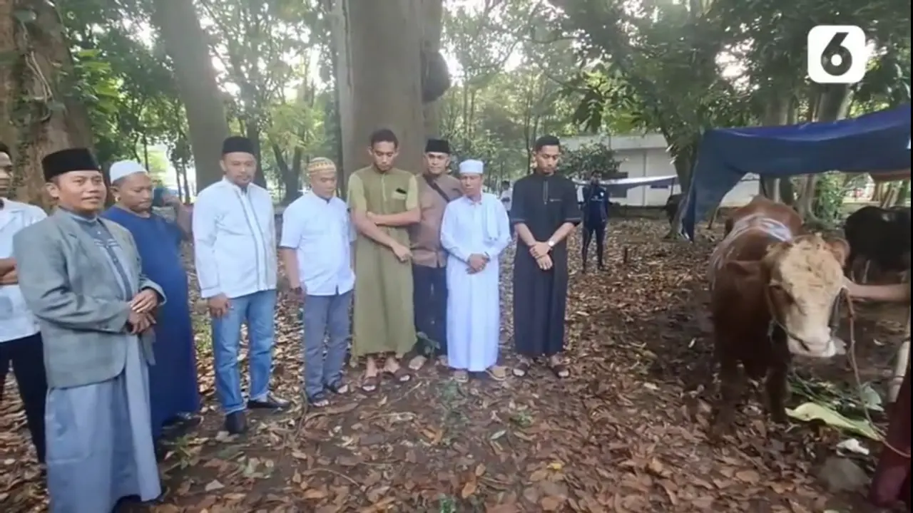 PSSI dan Timnas Indonesia Kurban Sapi