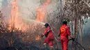 Lahan gambut seluas 8,5 hektare yang berada di kawasan Rimbo Panjang, Kabupaten Kampar, Riau hangus terbakar. (Wahyudi/AFP)
