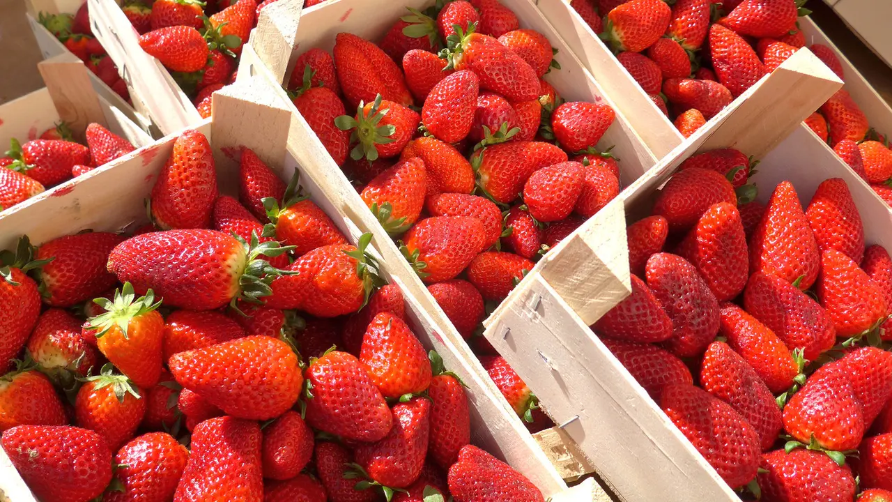 Manfaat Strawberry