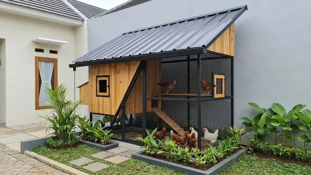 Desain Kandang Ayam Mini