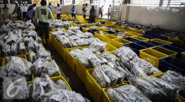 Ikan yang telah dibekukan dilelang di pelelangan ikan Muara Angke, Jakarta, Kamis (24/3). Pada 2015 secara total Indonesia telah memanfaatkan potensi ekonomi sektor kelautan sekira Rp350 triliun. (Liputan6.com/Faizal Fanani)