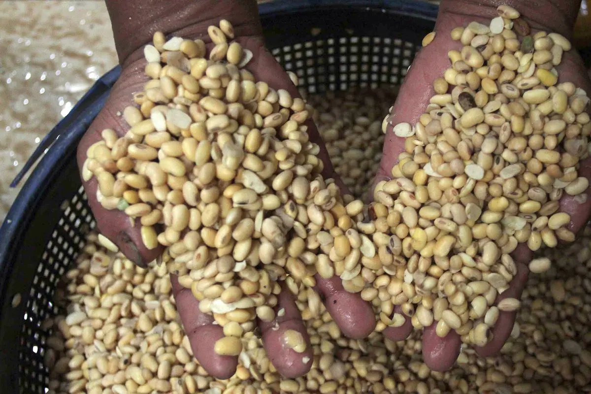 FOTO: Imbas Kenaikan Harga Kedelai, Produsen Tahu Kurangi Produksi