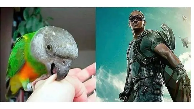 9 Foto Awal Mula Superhero ala Netizen yang Kocak Banget