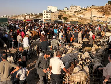 Orang-orang berbelanja hewan kurban di pasar ternak Jumat di Hebron, Tepi Barat, pada 14 Juni 2024. (HAZEM BADER/AFP)