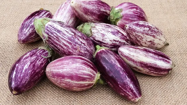 Mengenal Terong, Kandungan Nutrisi hingga Cara Mengolahnya/Image by Petra Göschel from Pixabay
