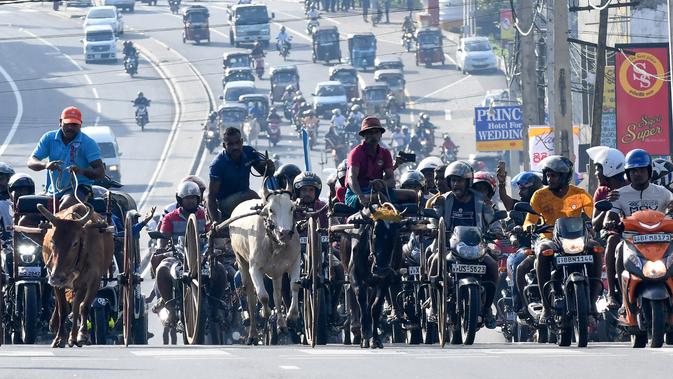 Suasana saat para peserta ikut ambil bagian dalam perlombaan balap gerobak sapi di Kolombo, Sri Lanka, Sabtu (20/4). (LAKRUWAN WANNIARACHCHI/AFP)