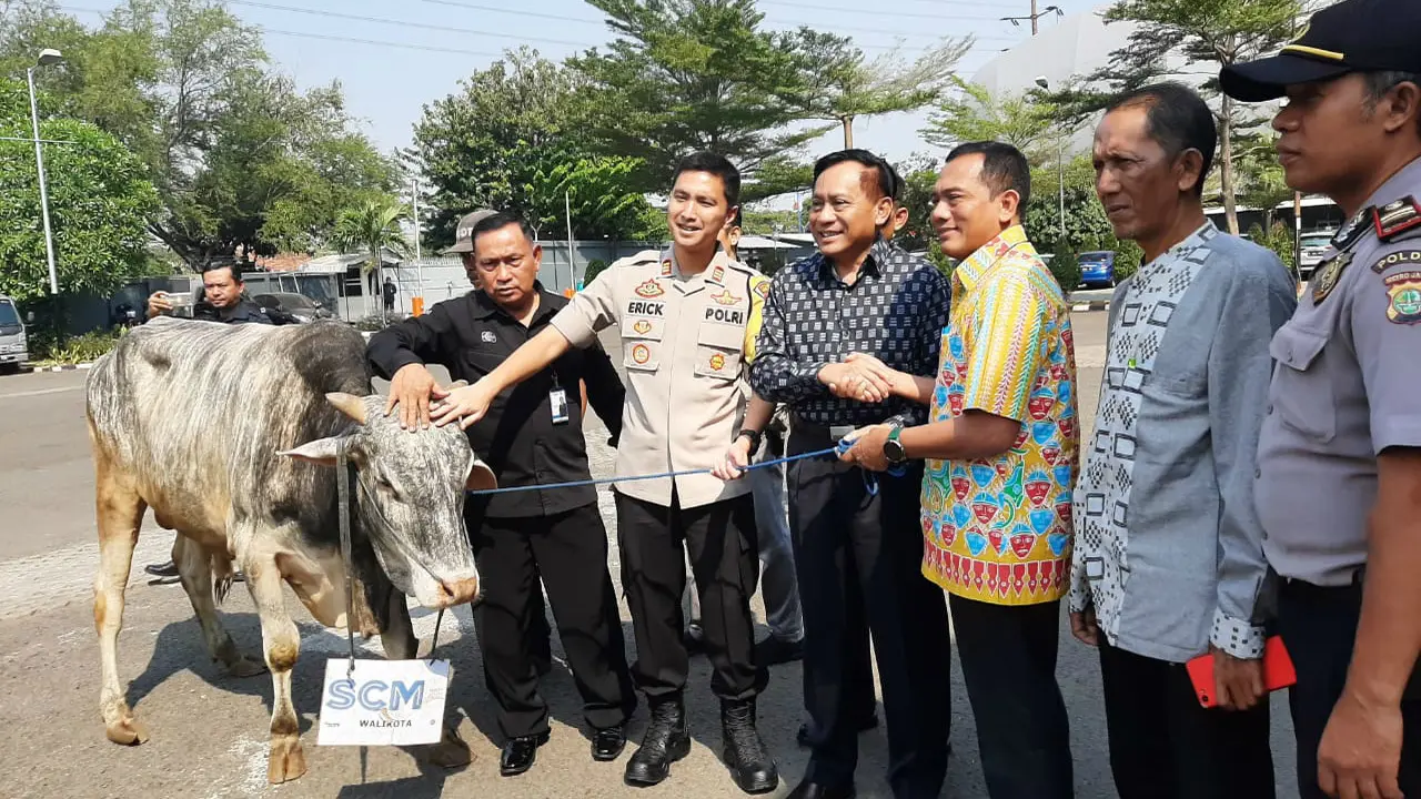 PT Surya Citra Media (SCM) menyerahkan hewan kurban di depan lobi studio 5 Indosiar Daan Mogot, Jakarta, Kamis (8/8/2019).