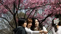 Tiga orang wanita berpose dengan latar Bunga Sakura di kawasan Asakusa Tokyo, Kamis (6/4). Musim mekarnya Bunga Sakura menarik minat wisatawan lokal dan manca negara. (AFP Photo/ Behrouz MEHRI)