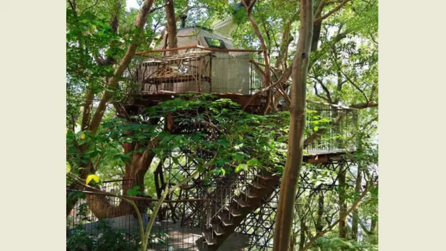 Memiliki rumah pohon yang cantik dan keren memang banyak diinginkan para bocah.