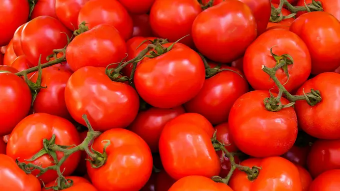 manfaat tomat bagi kesehatan