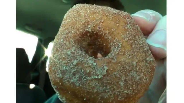 6 Momen Apes saat Mau Makan Donat Ini Bikin Geregetan