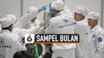sampel bulan