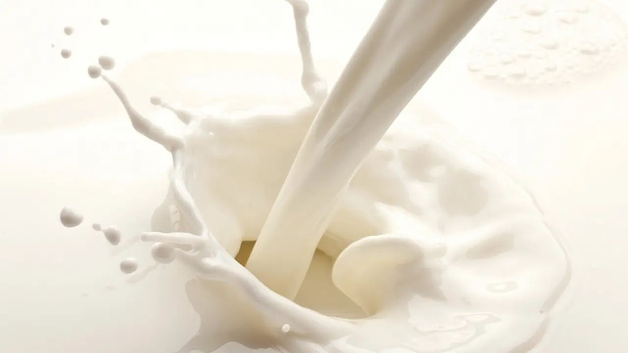 Tak Cuma untuk Tulang, Minum Susu pun Baik untuk Otak